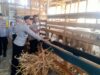Kawal Asta Cita Presiden, Polsek Tarokan Pastikan Sektor Peternakan Aman dan Produktif
