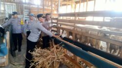 Kawal Asta Cita Presiden, Polsek Tarokan Pastikan Sektor Peternakan Aman dan Produktif