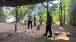Polsek Tarik Cek Dugaan Sabung Ayam di Klantingsari, Respon Aduan Warga