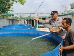Bhabinkamtibmas Polsek Rembang Pantau Budidaya Lele, Dukung Ketahanan Pangan Nasional