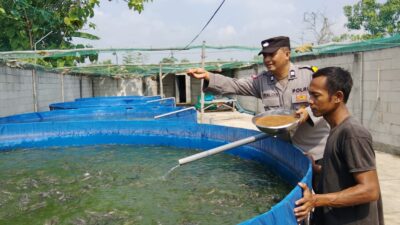 Bhabinkamtibmas Polsek Rembang Pantau Budidaya Lele, Dukung Ketahanan Pangan Nasional
