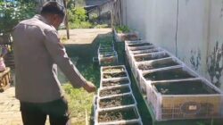 Gugus Tugas Polsek Rembang Pantau Lahan P2L, Wujudkan Ketahanan Pangan Melalui Implementasi Asta Cita Presiden RI