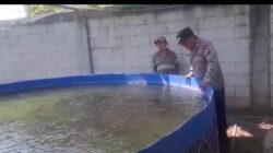 Tak Hanya Jaga Kamtibmas, Polisi di Rembang Dampingi Budidaya Lele Warga