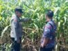 Bhabinkamtibmas Polsek Sukorejo Dorong Petani Optimalkan Lahan Produktif