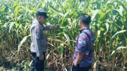Bhabinkamtibmas Polsek Sukorejo Dorong Petani Optimalkan Lahan Produktif