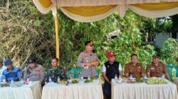 Forkopimka Balongbendo Panen Jagung Kuartal III