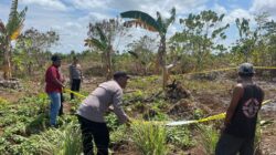 Warga Kolser Geger! Asyik Berkebun, Petani Temukan Diduga Bom Sisa Perang Dunia II
