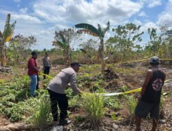 Warga Kolser Geger! Asyik Berkebun, Petani Temukan Diduga Bom Sisa Perang Dunia II