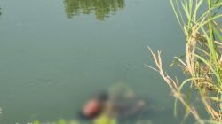 Pekerja Asal Jombang Tewas Tercebur Sungai Bersama Motor Vario di Desa Kedungbocok Tarik
