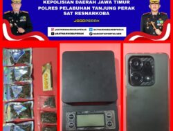 “BELUM HABIS DIJUAL SUDAH DICIDUK! Satresnarkoba Tanjung Perak Sikat Pemuda Pembawa 41,8 Gram Ganja”