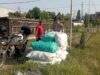Polsek Wonoayu Panen Raya Jagung, Dukung Swasembada Pangan